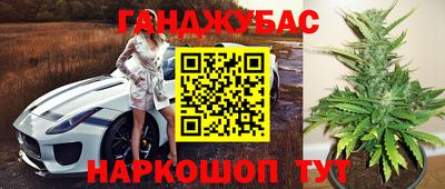 a pvp Кингисепп
