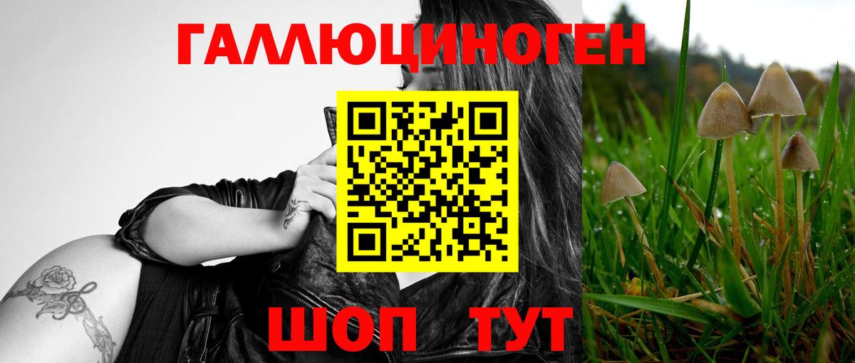 Кызыл  Галлюциногенные грибы мицелий  Вход с VPN  Псилоцибиновые грибы Psilocybe 